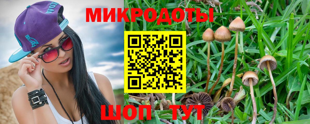Псилоцибиновые грибы Psilocybine cubensis Корсаков